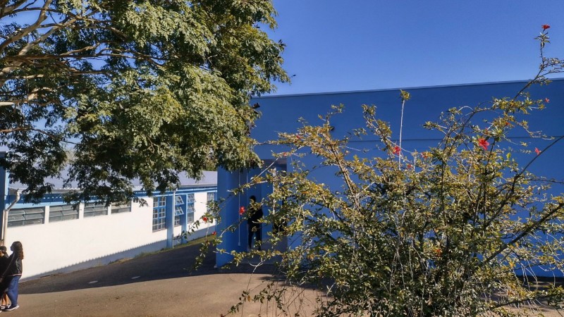 área verde da escola