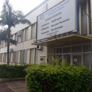 Foto do prédio de dois andares da escola, pintado em amarelo. Em primeiro plano veem-se arbustos verdes e três coqueiros. O céu está nublado.