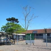 Foto externa do prédio de um piso da escola. A escola está ao fundo e, em primeiro plano, vê-se um poste de luz, uma cerca e o pátio com pedra brita. À esquerda, a passagem coberta que leva ao prédio da escola e duas árvores.